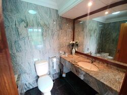 Le Hill Condominium (D5), Condominium #499088461